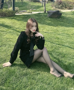 完美的妻子